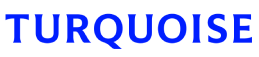 turquoise logo